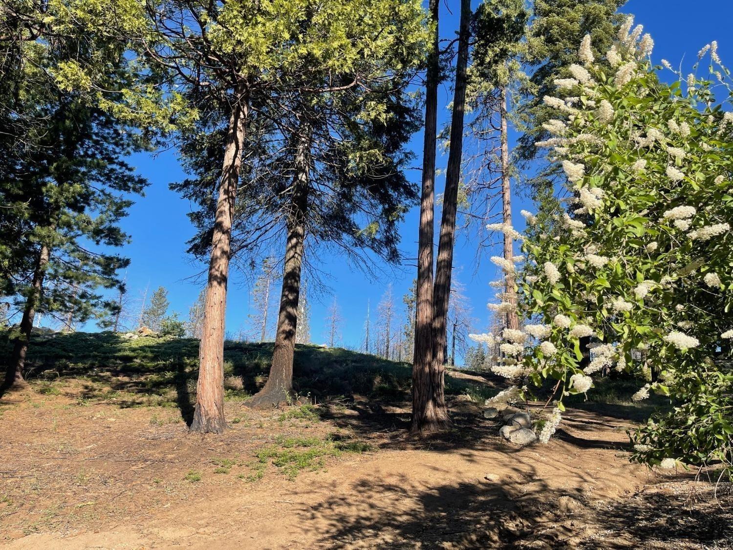 40231 Mariposa Lilly, Shaver Lake, CA 93664