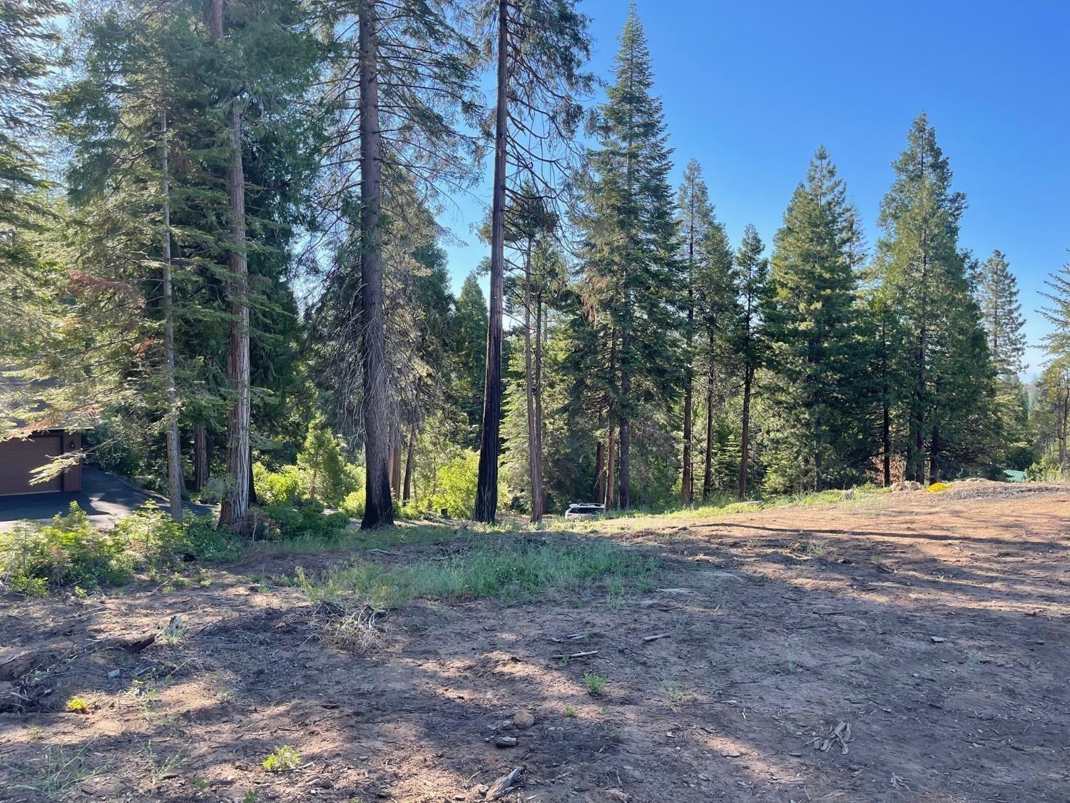40231 Mariposa Lilly, Shaver Lake, CA 93664