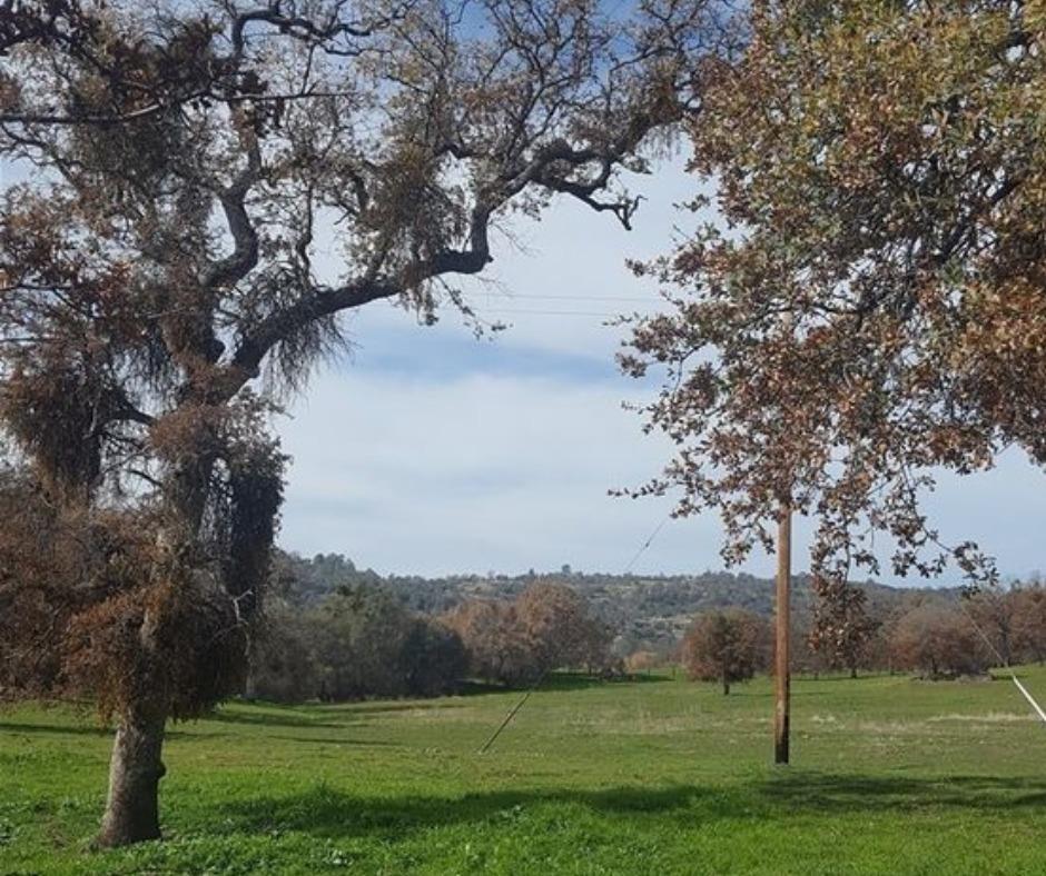 0 000 Usona Rd, Mariposa, CA 95338