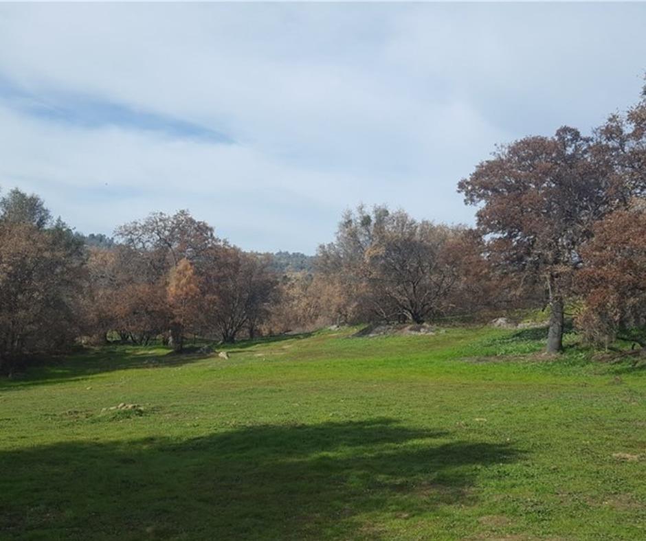 0 000 Usona Rd, Mariposa, CA 95338
