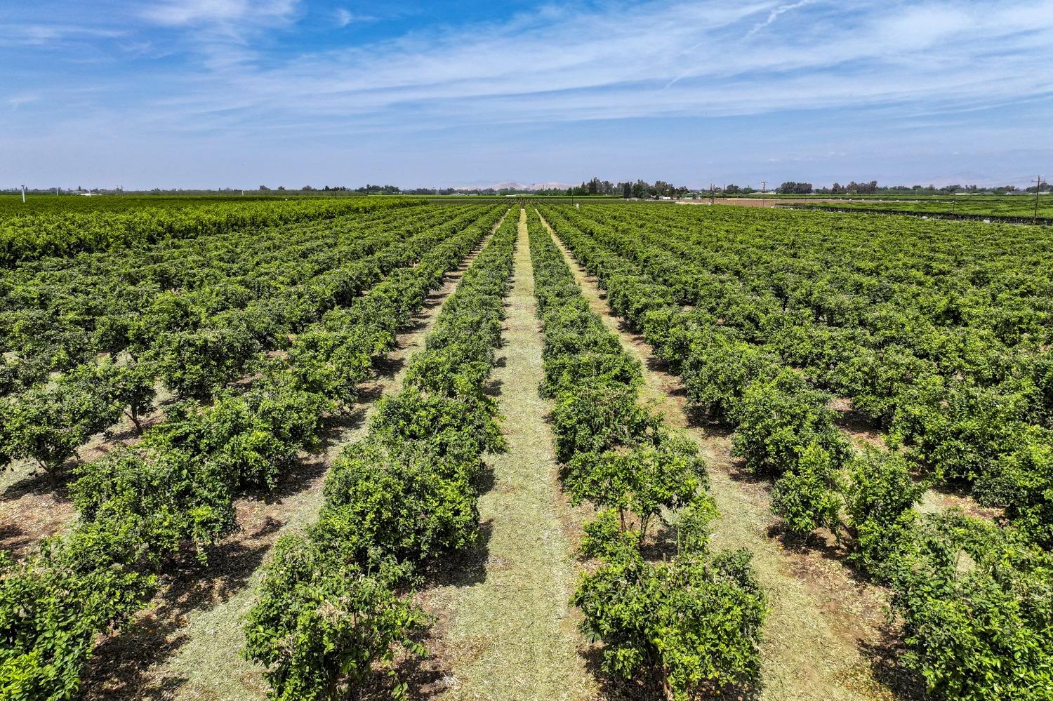 0 0 Road 176, Exeter, CA 93221