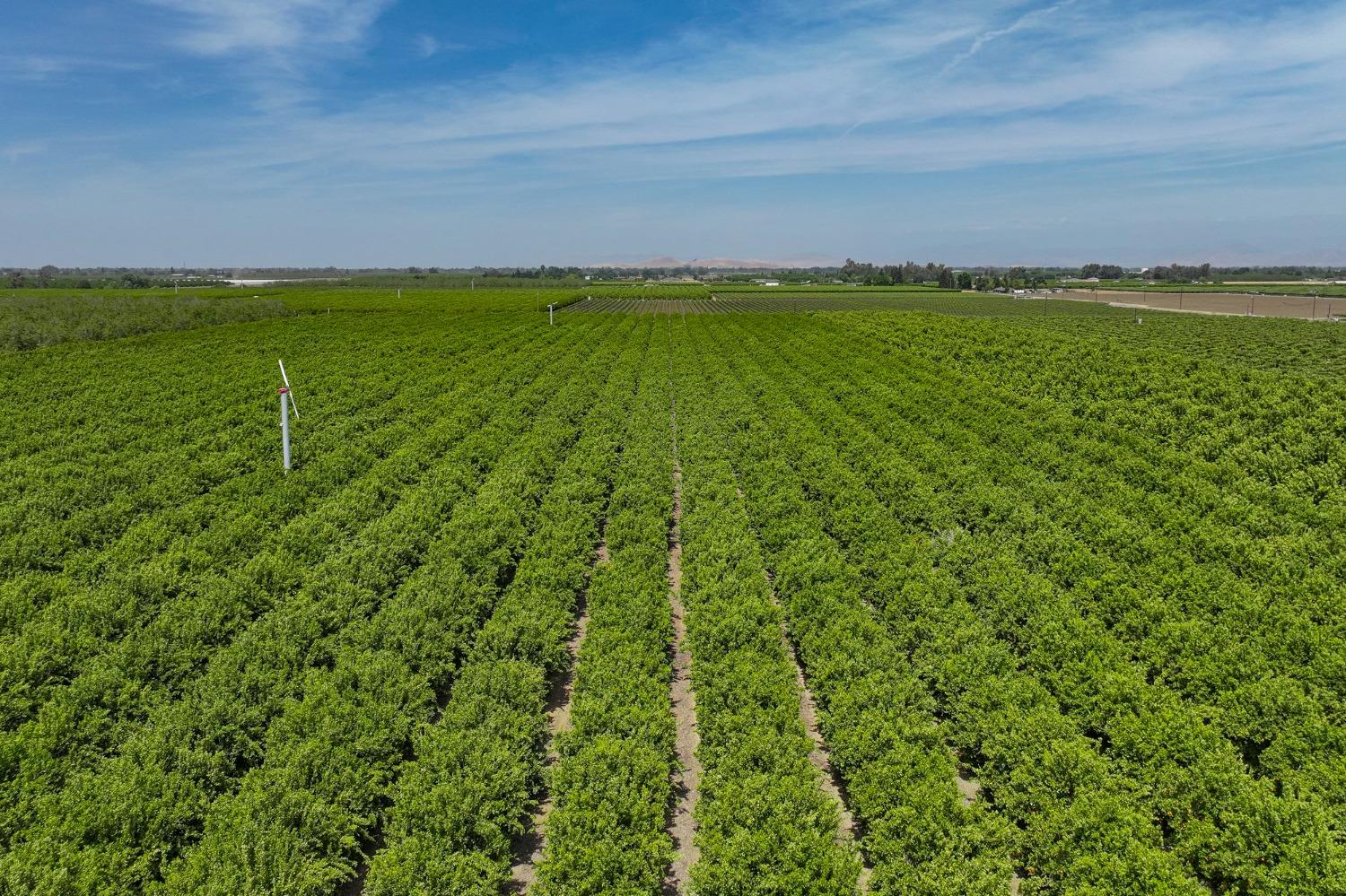 0 0 Road 176, Exeter, CA 93221