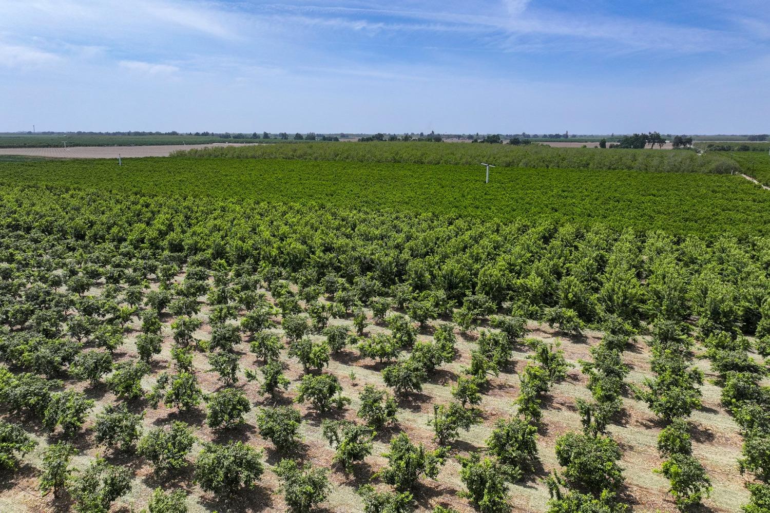 0 0 Road 176, Exeter, CA 93221