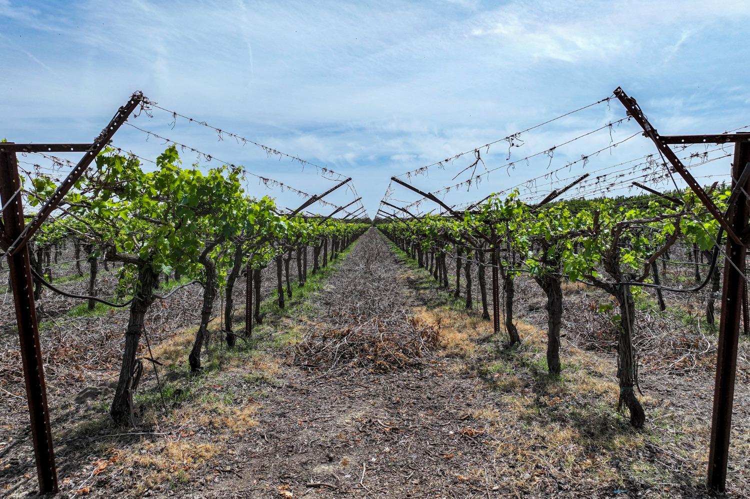 0 0 Road 176, Exeter, CA 93221