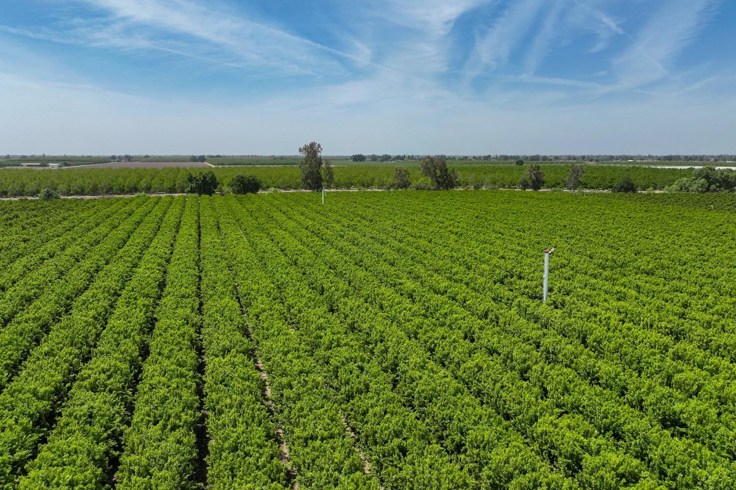 0 0 Road 176, Exeter, CA 93221