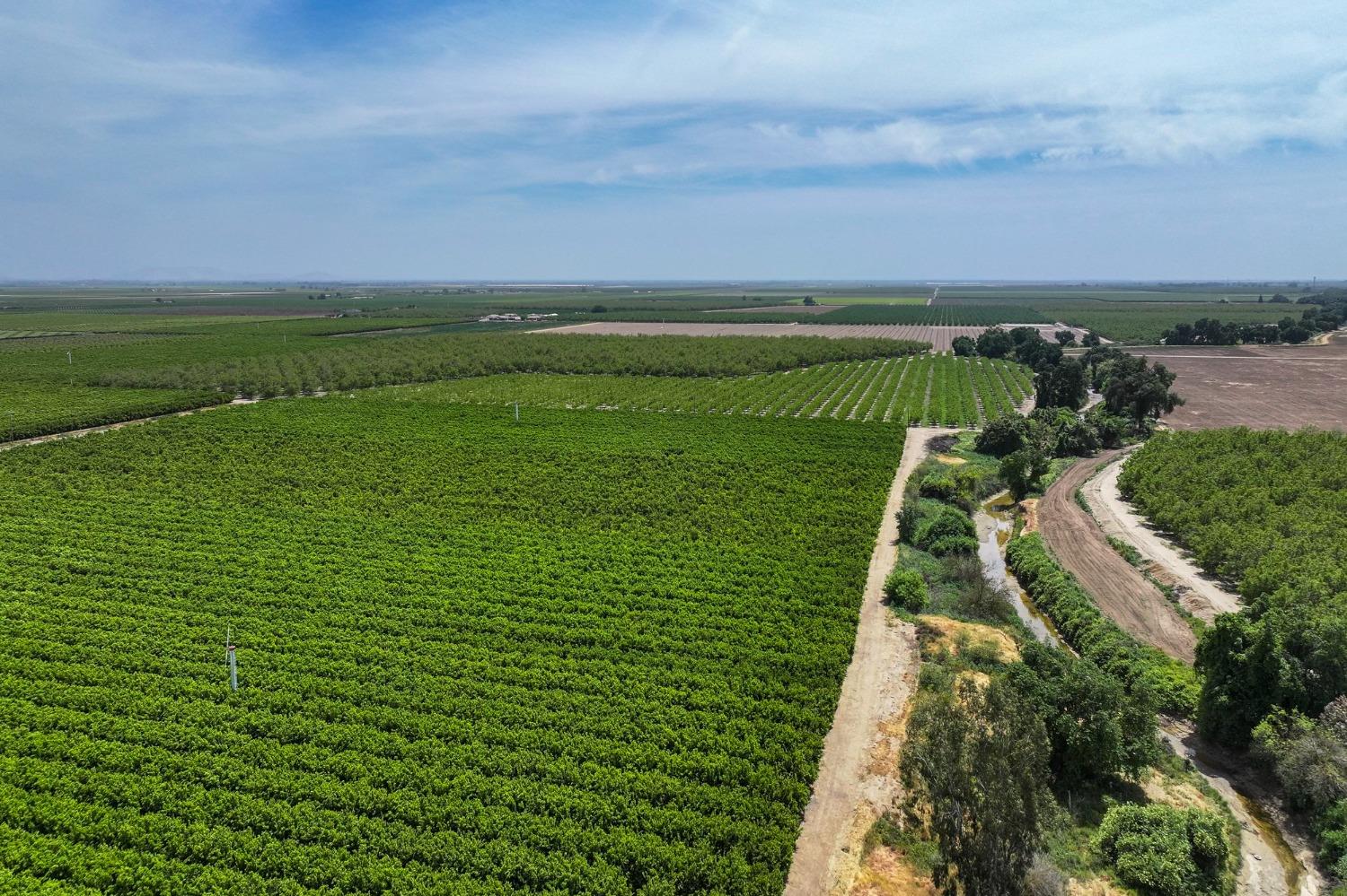 0 0 Road 176, Exeter, CA 93221