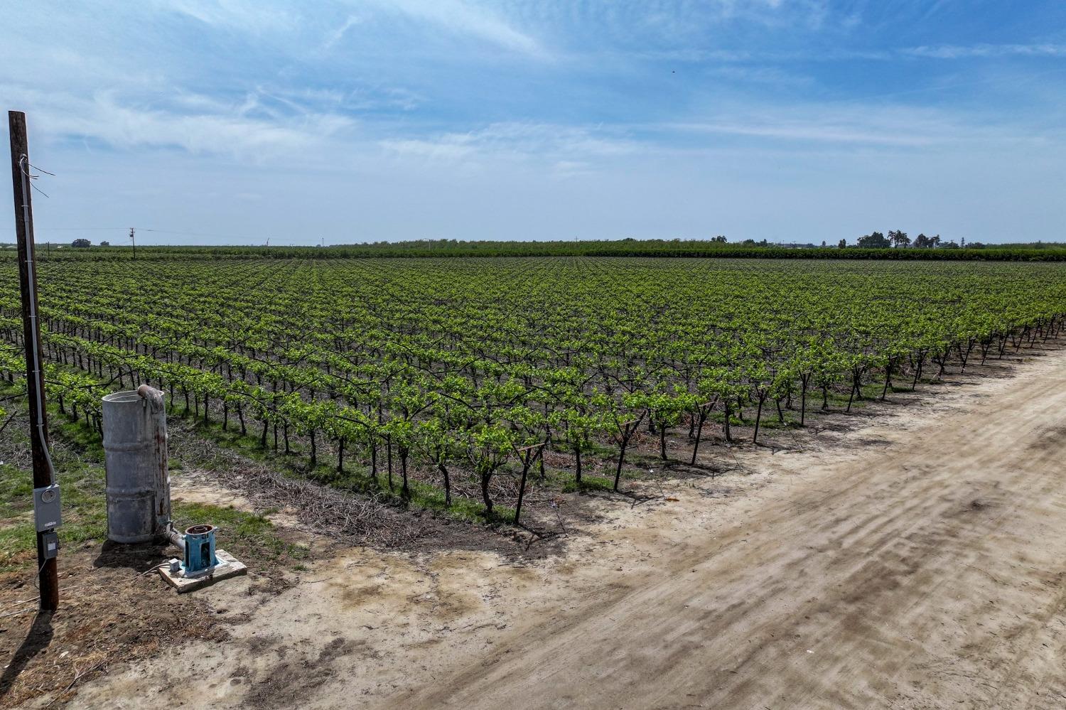 0 0 Road 176, Exeter, CA 93221