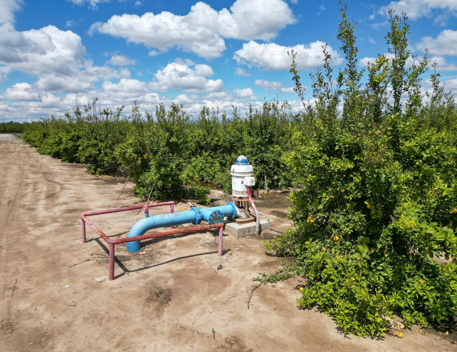 0 0 Road 176, Exeter, CA 93221