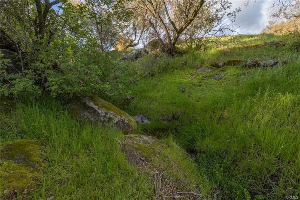 43317 Running Deer Ct, Coarsegold, CA 93614