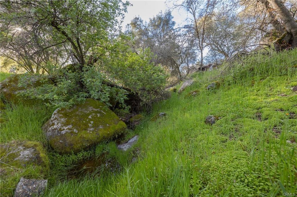 43317 Running Deer Ct, Coarsegold, CA 93614