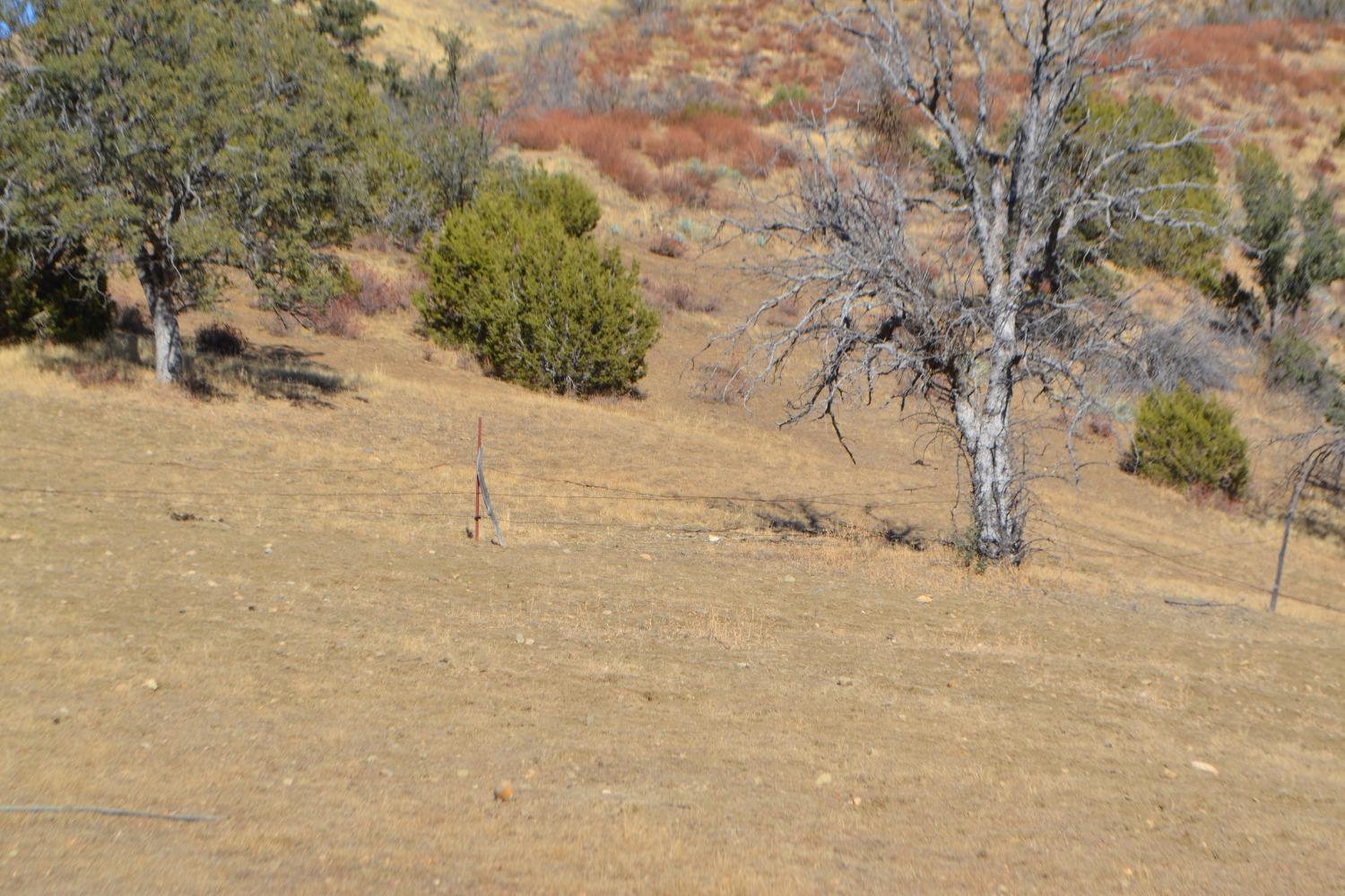 41346 Mineral Springs Rd, Coalinga, CA 93210