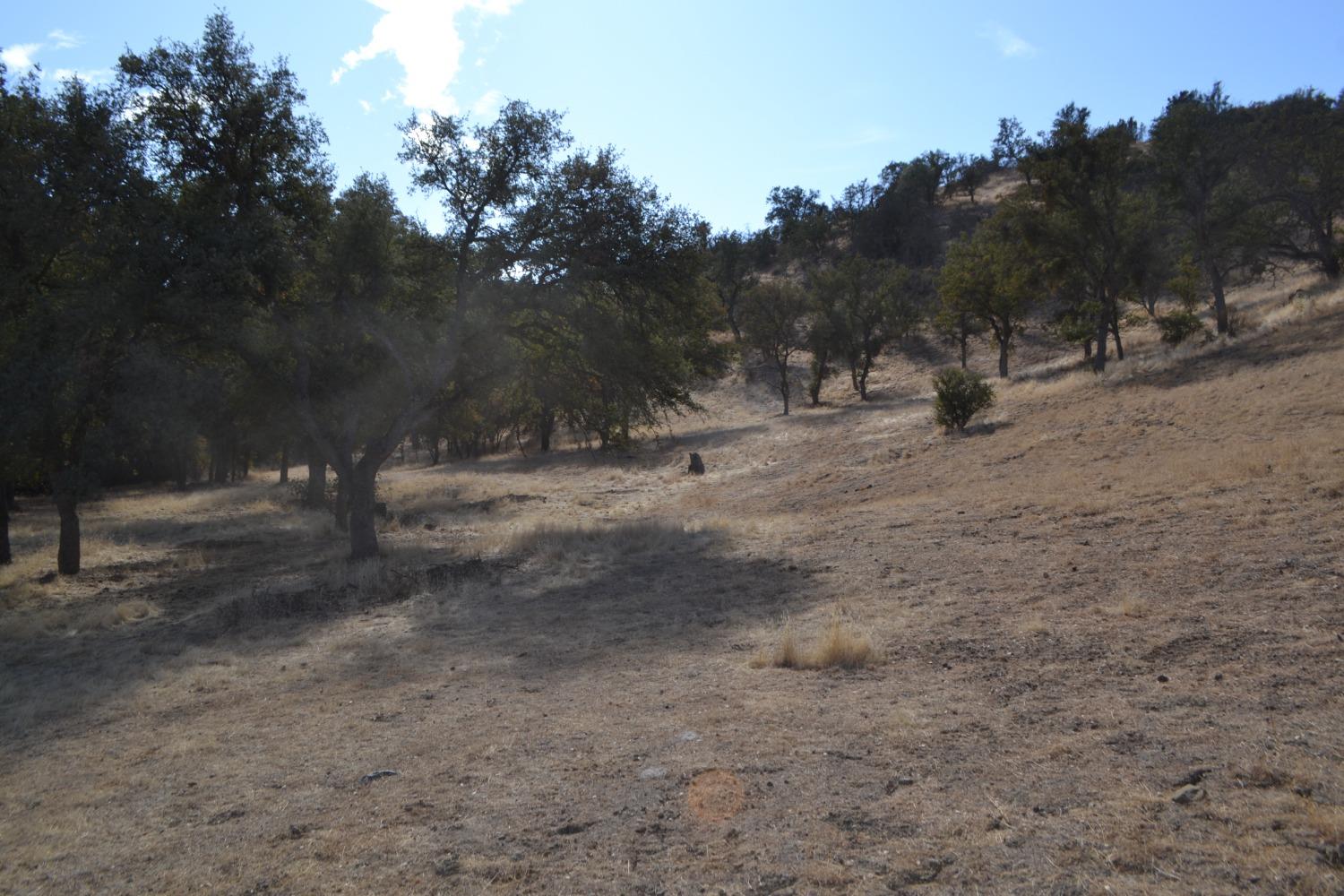 41346 Mineral Springs Rd, Coalinga, CA 93210