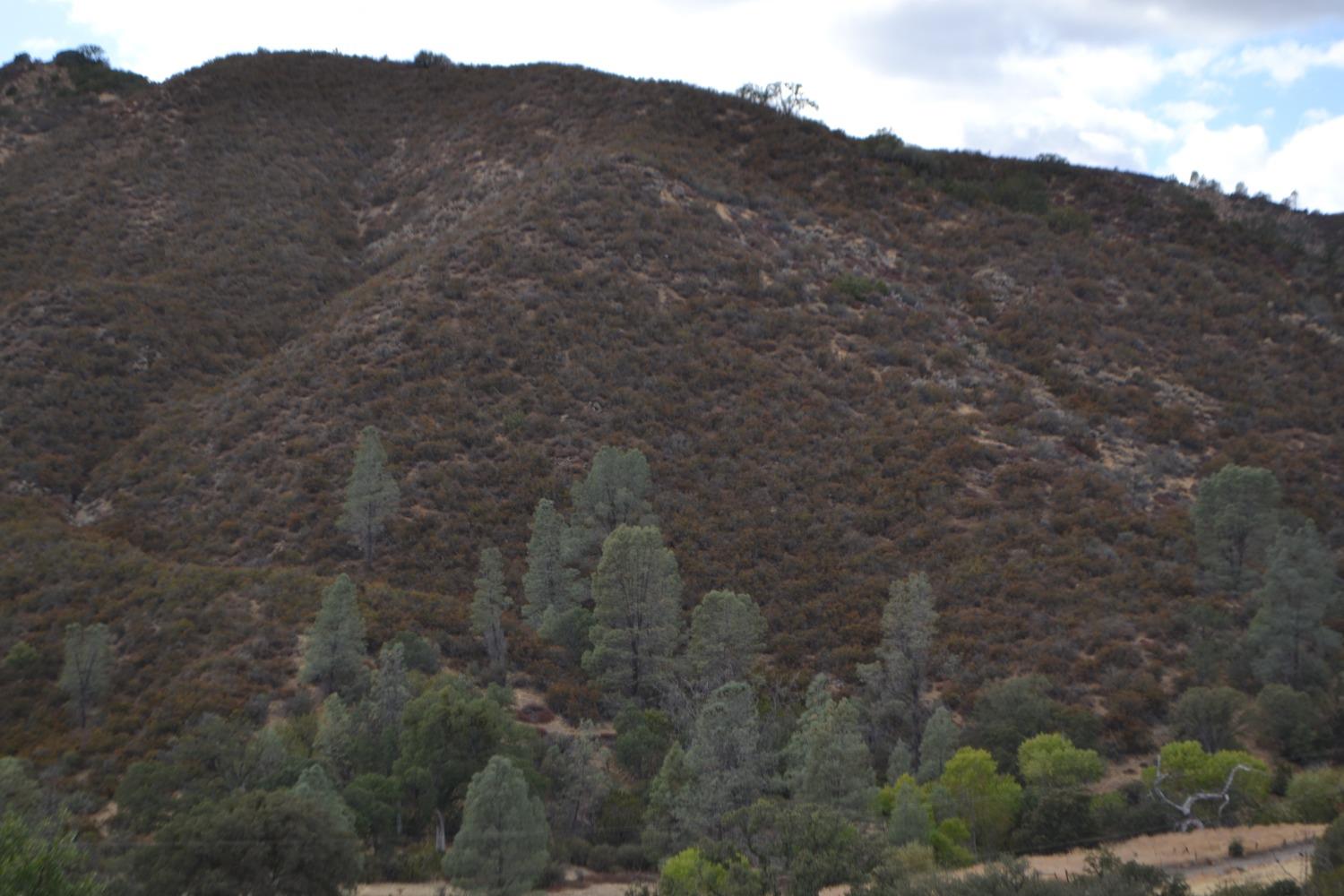 41346 Mineral Springs Rd, Coalinga, CA 93210