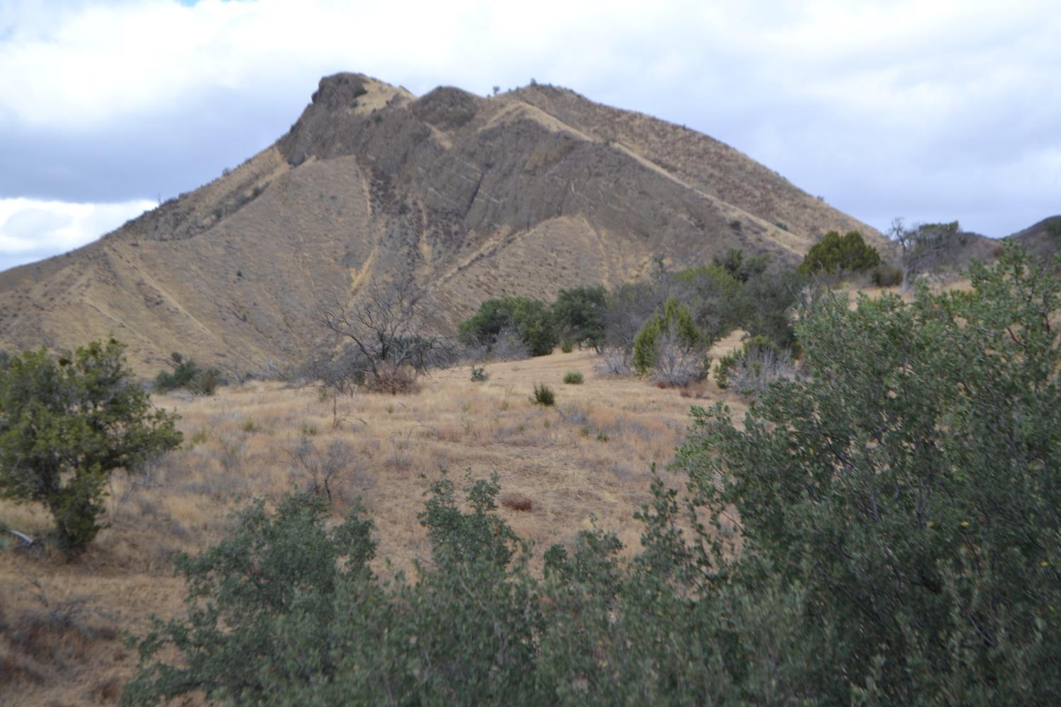 41346 Mineral Springs Rd, Coalinga, CA 93210