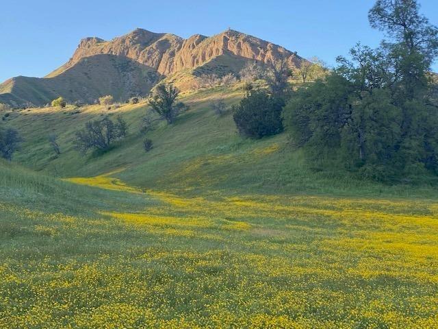 41346 Mineral Springs Rd, Coalinga, CA 93210