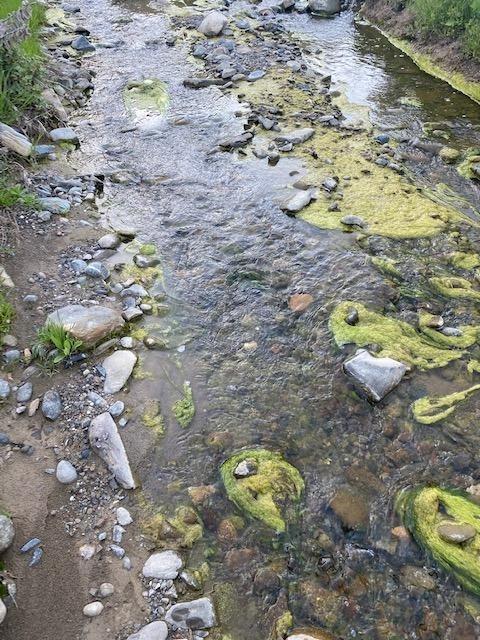 41346 Mineral Springs Rd, Coalinga, CA 93210