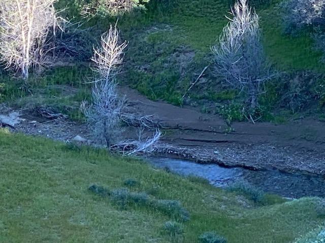 41346 Mineral Springs Rd, Coalinga, CA 93210