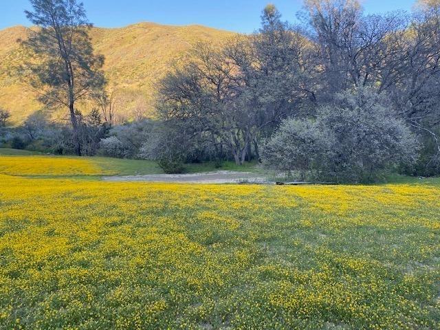 41346 Mineral Springs Rd, Coalinga, CA 93210