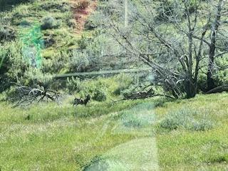 41346 Mineral Springs Rd, Coalinga, CA 93210