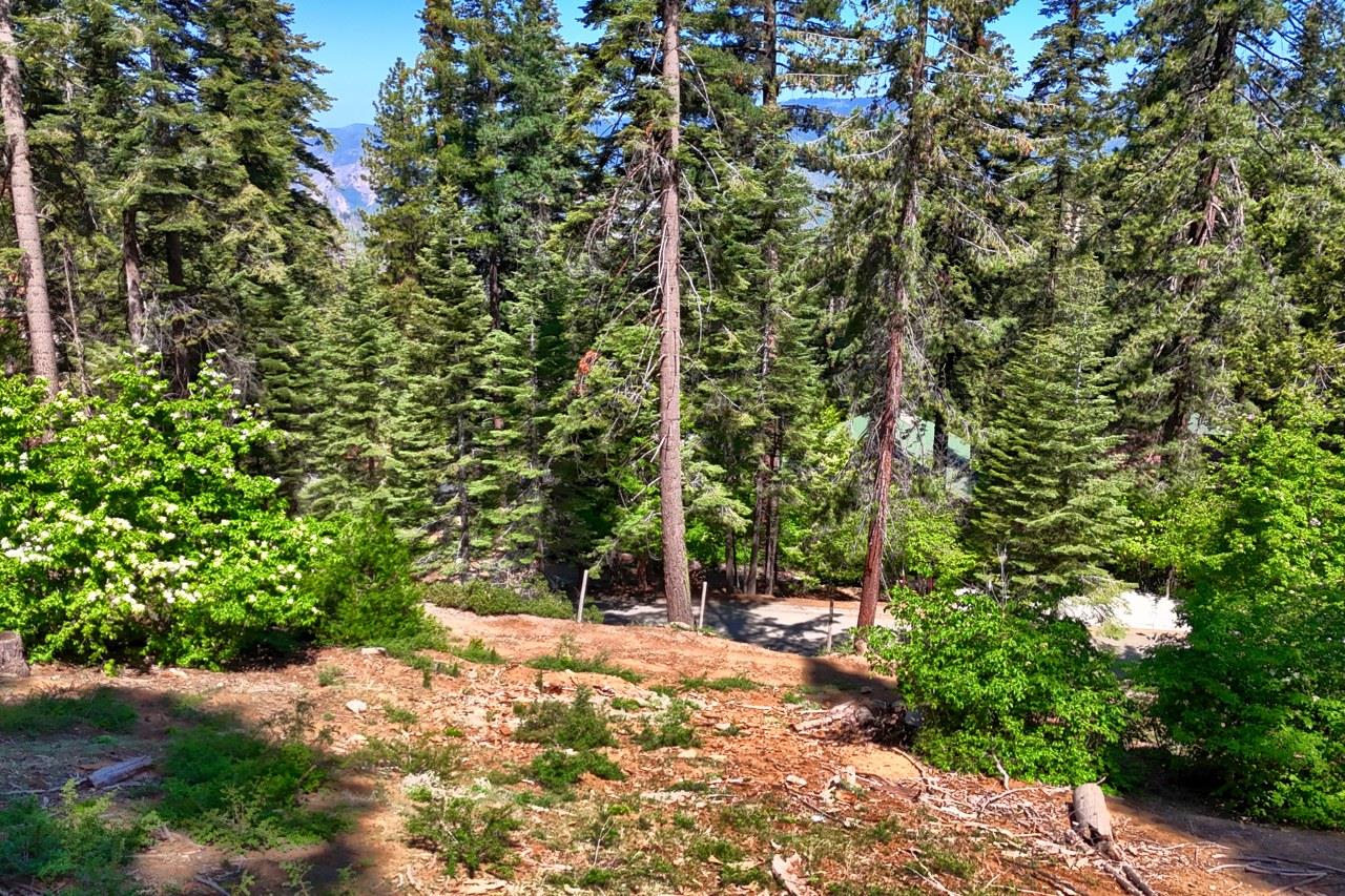 7420 Henness Ridge Rd, Yosemite West, CA 95389