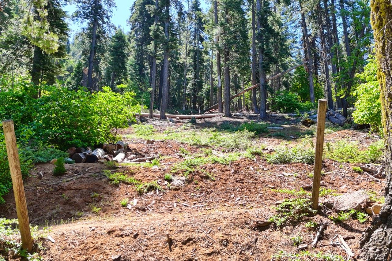 7420 Henness Ridge Rd, Yosemite West, CA 95389