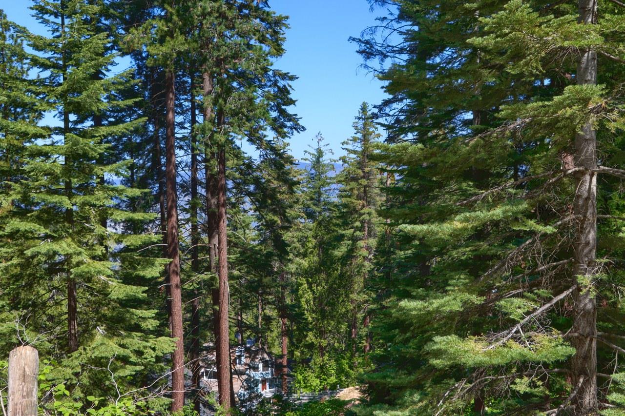 7420 Henness Ridge Rd, Yosemite West, CA 95389