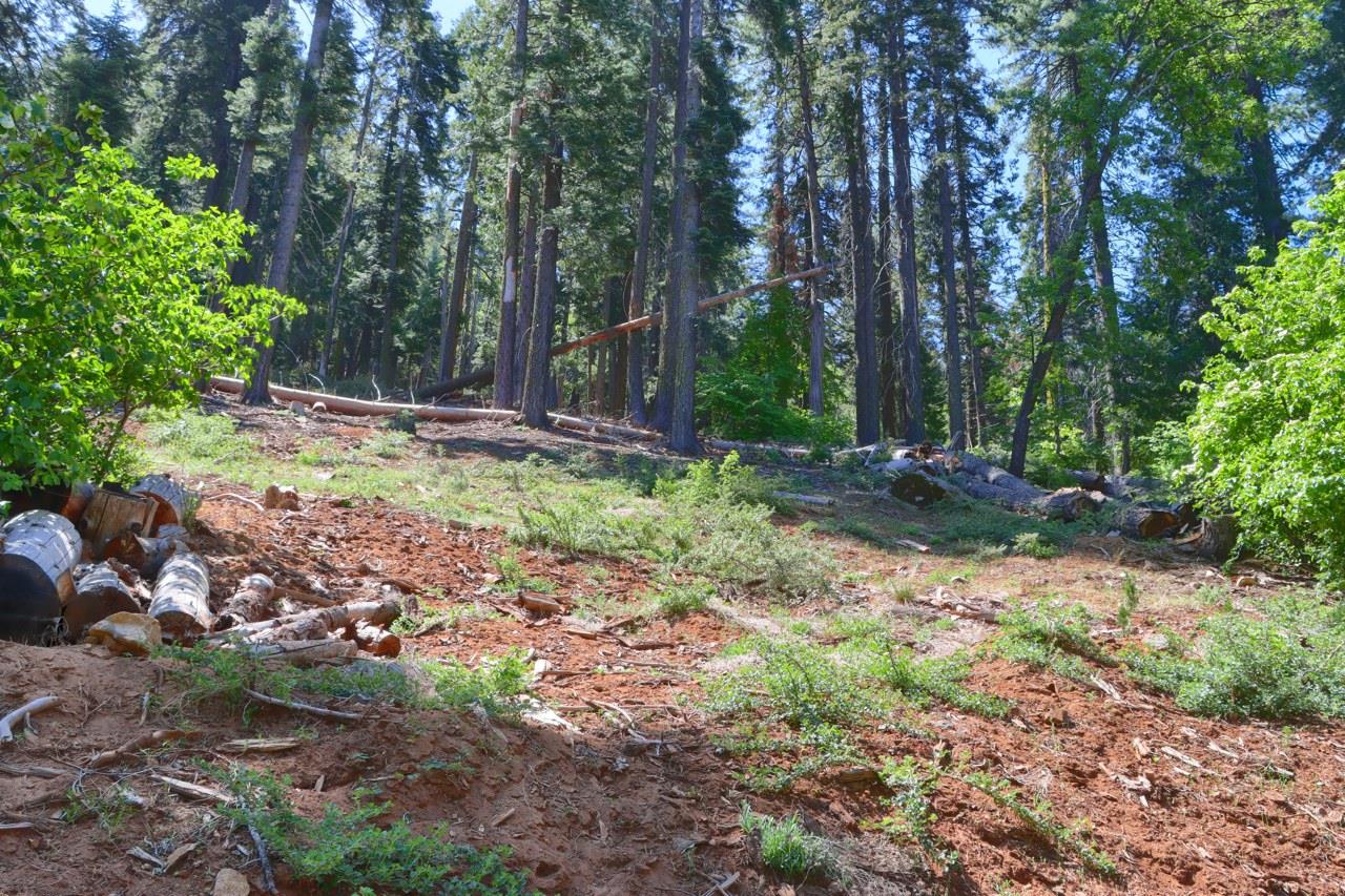 7420 Henness Ridge Rd, Yosemite West, CA 95389