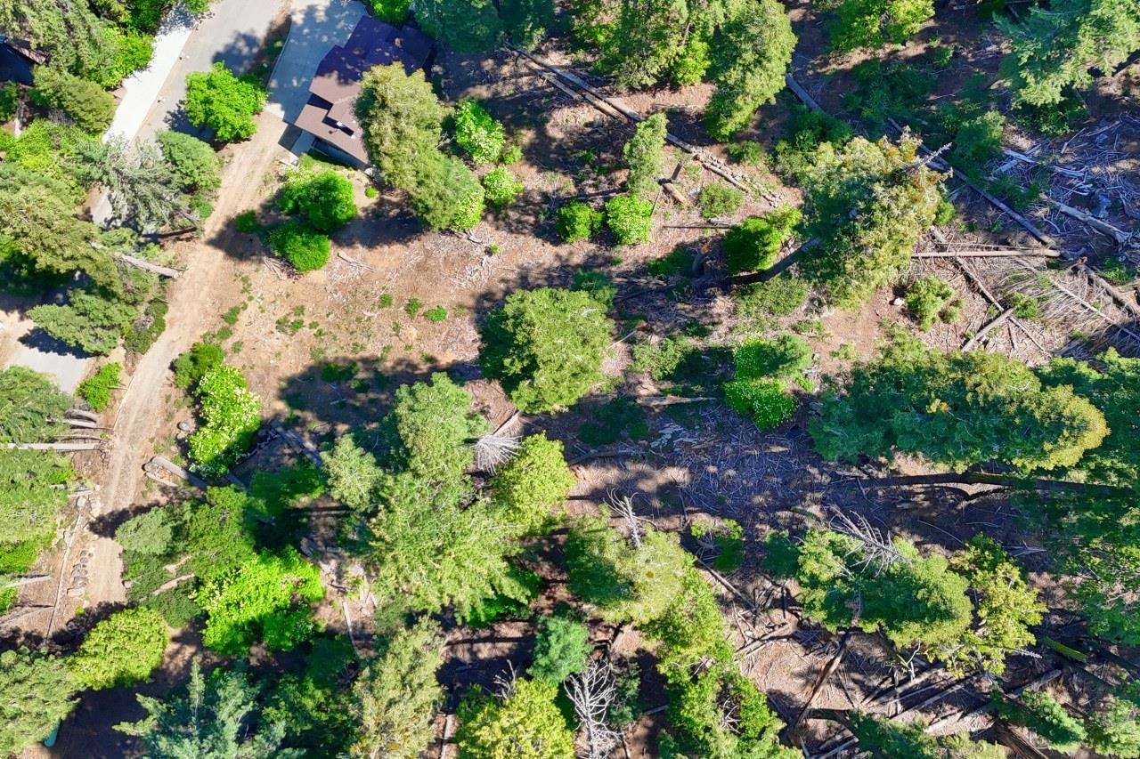 7420 Henness Ridge Rd, Yosemite West, CA 95389