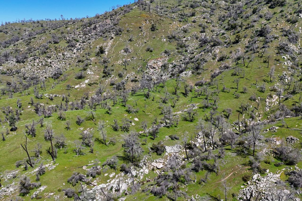 39249 Road 800, Raymond, CA 93653