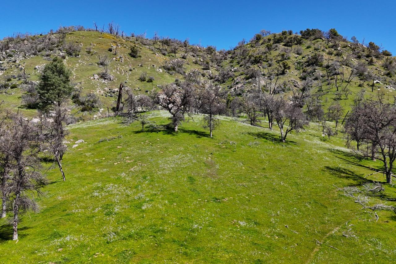 39249 Road 800, Raymond, CA 93653