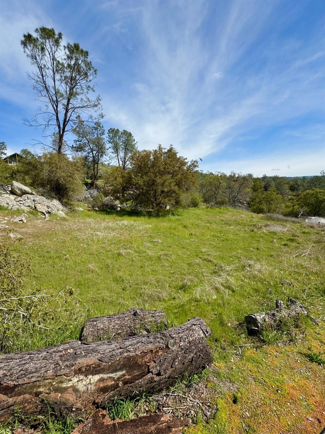 0 1741 Long Hollow Dr, Coarsegold, CA 93614