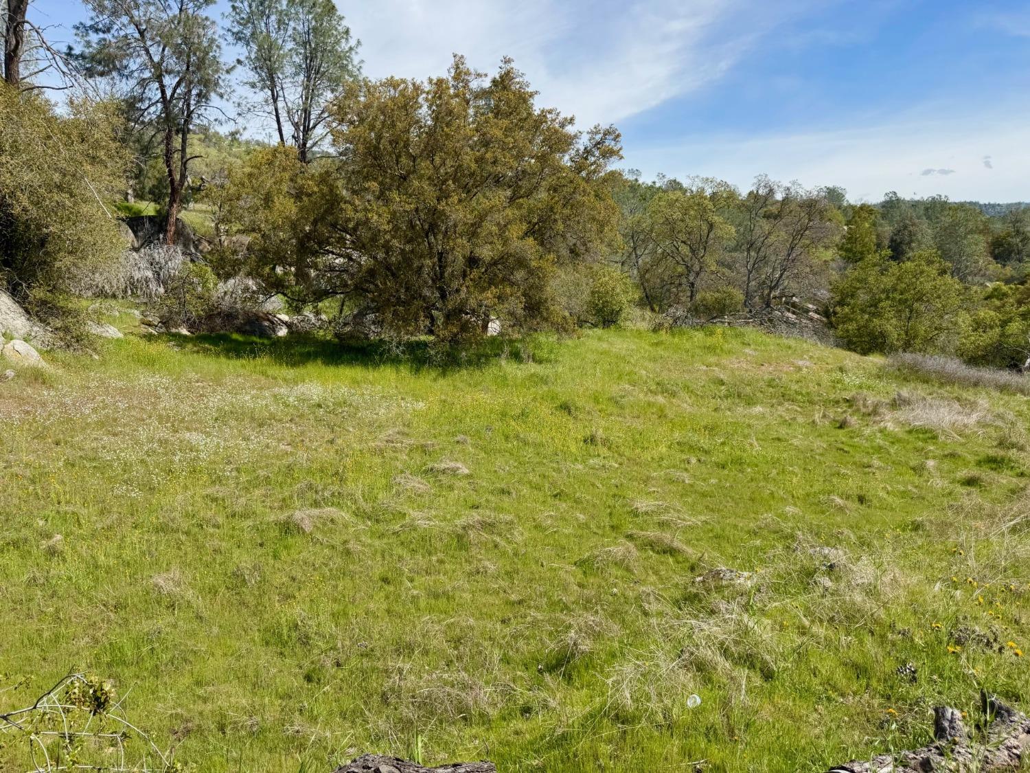 0 1741 Long Hollow Dr, Coarsegold, CA 93614