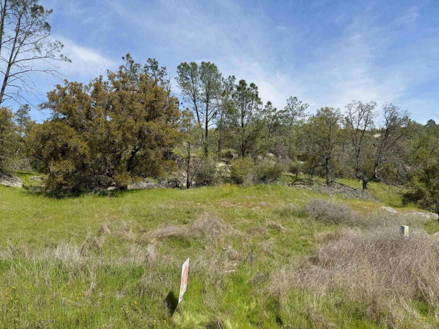 0 1741 Long Hollow Dr, Coarsegold, CA 93614