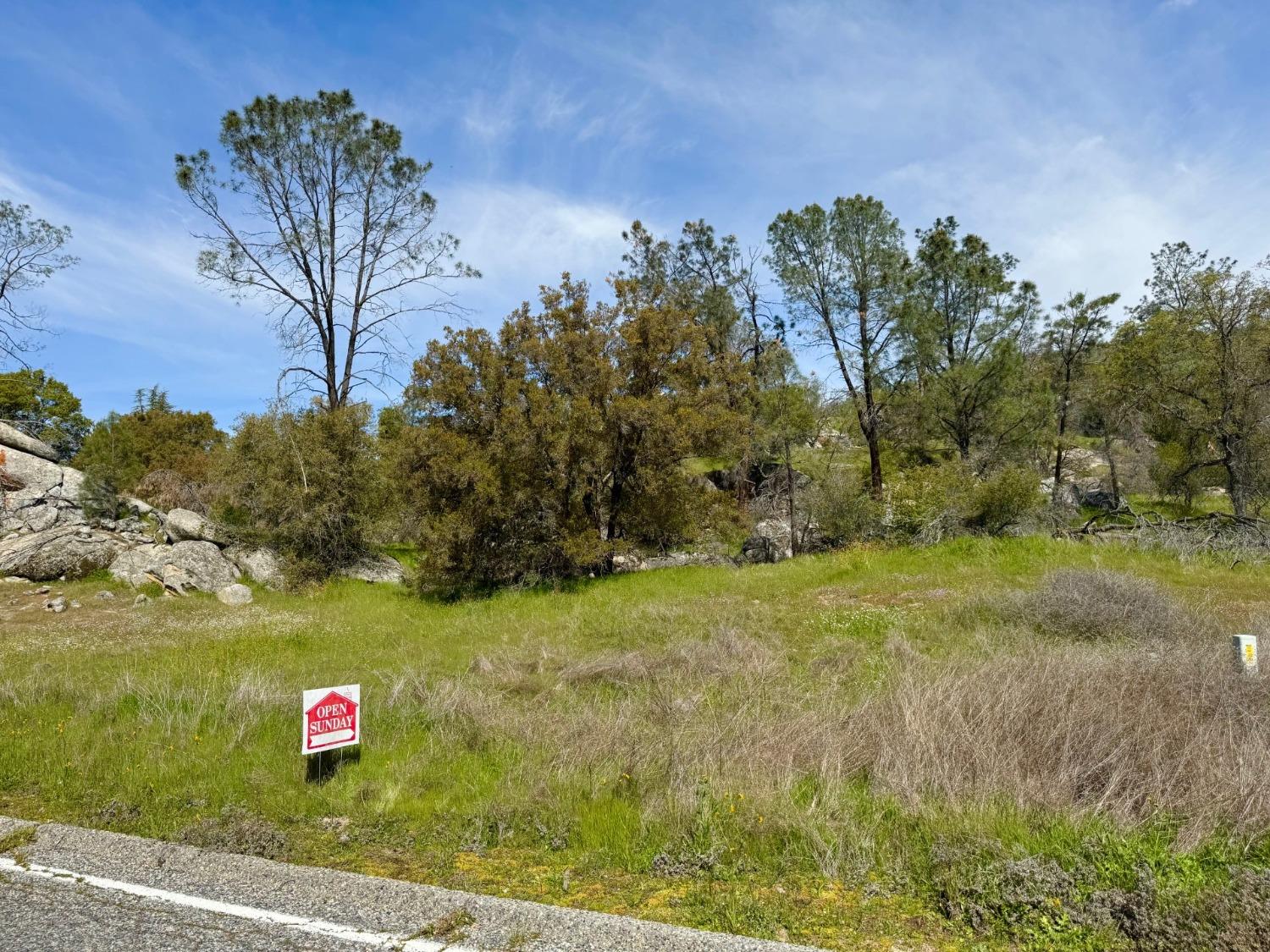0 1741 Long Hollow Dr, Coarsegold, CA 93614