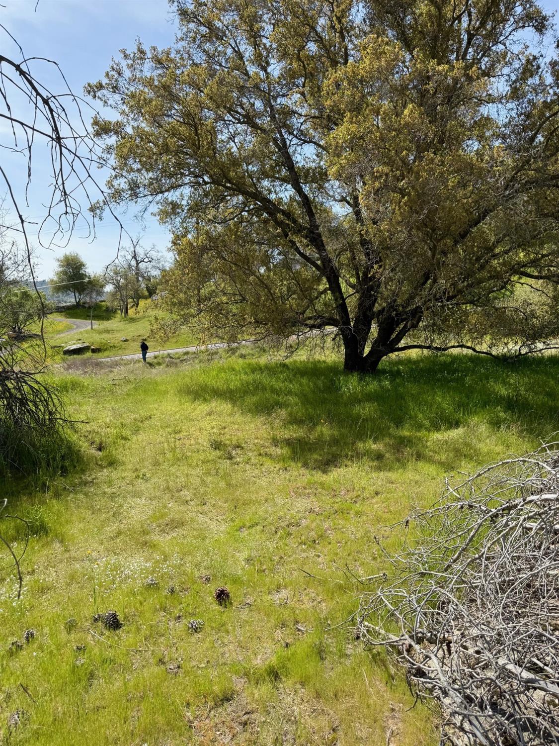 0 1741 Long Hollow Dr, Coarsegold, CA 93614