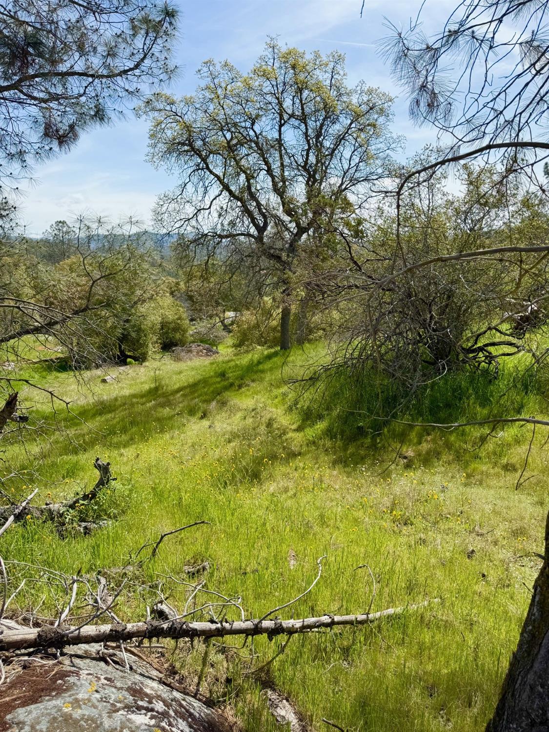 0 1741 Long Hollow Dr, Coarsegold, CA 93614