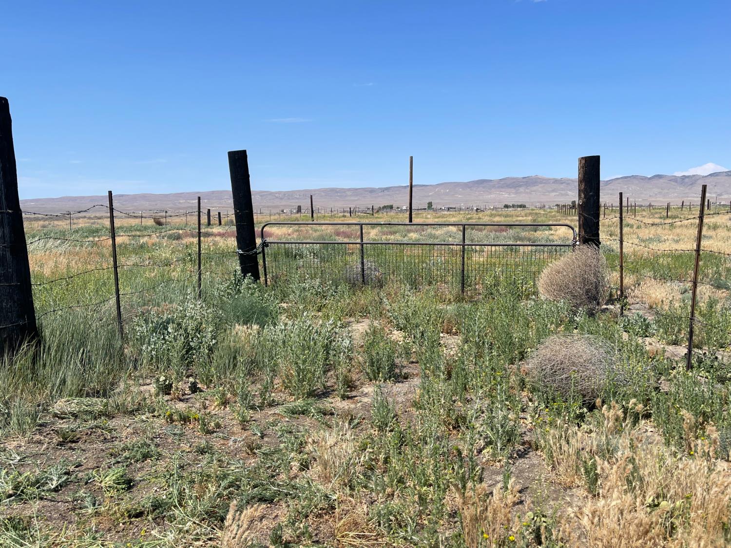 11250 Soda Lake Rd, Santa Margarita, CA 93453