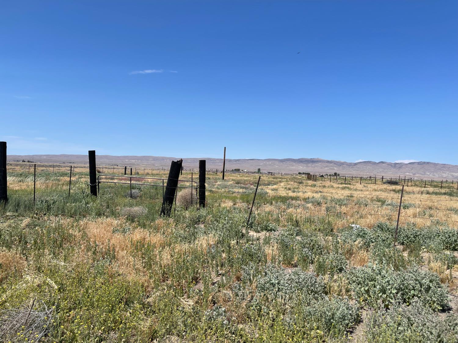 11250 Soda Lake Rd, Santa Margarita, CA 93453