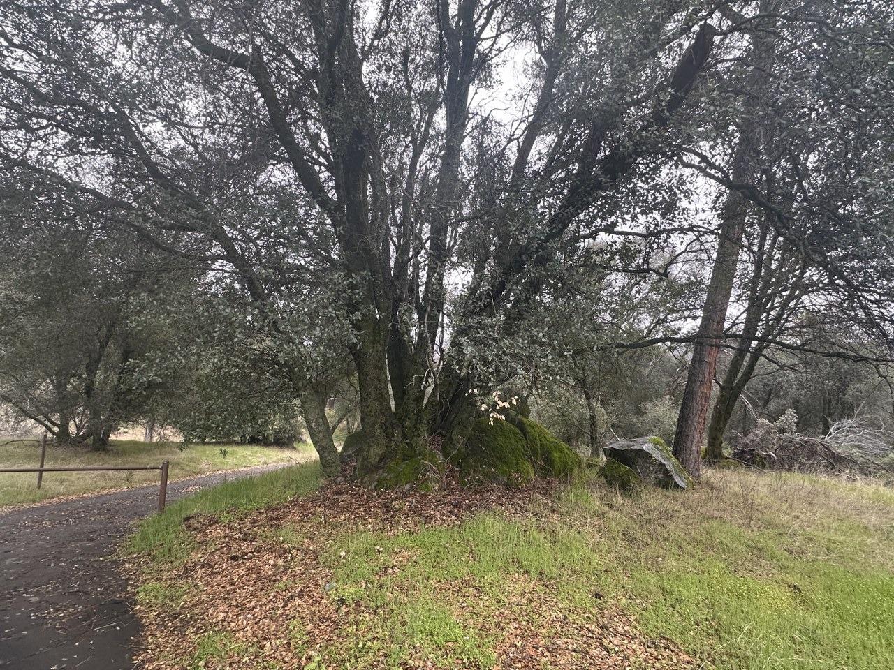 50330 Road 426, Oakhurst, CA 93644