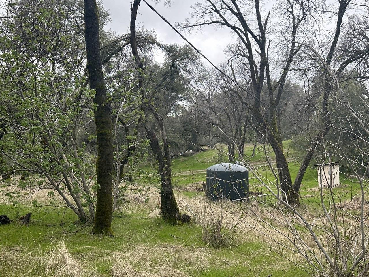 50330 Road 426, Oakhurst, CA 93644