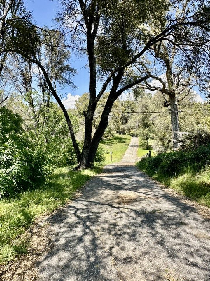 50330 Road 426, Oakhurst, CA 93644