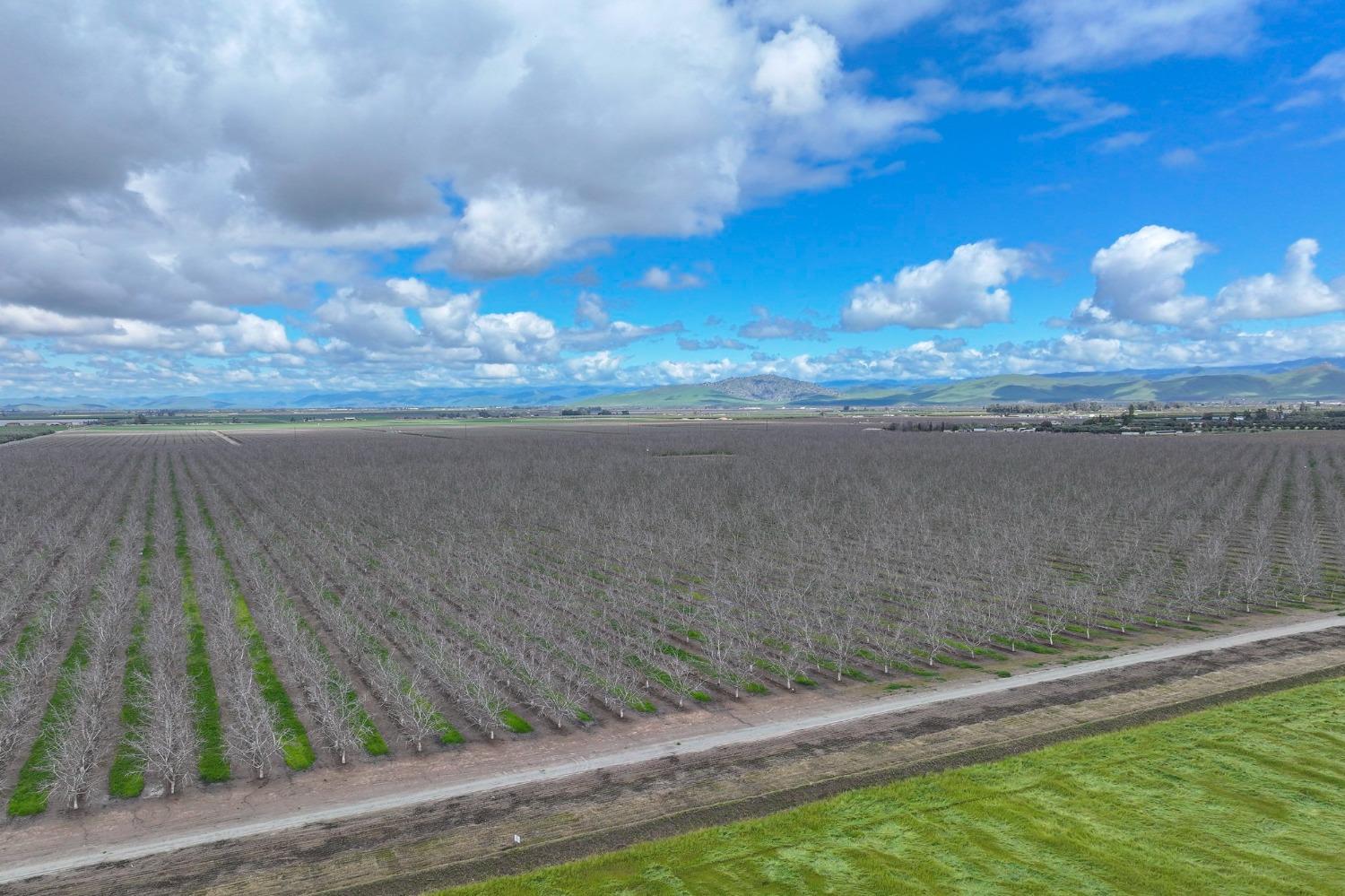 18995 Avenue 232, Lindsay, CA 93247