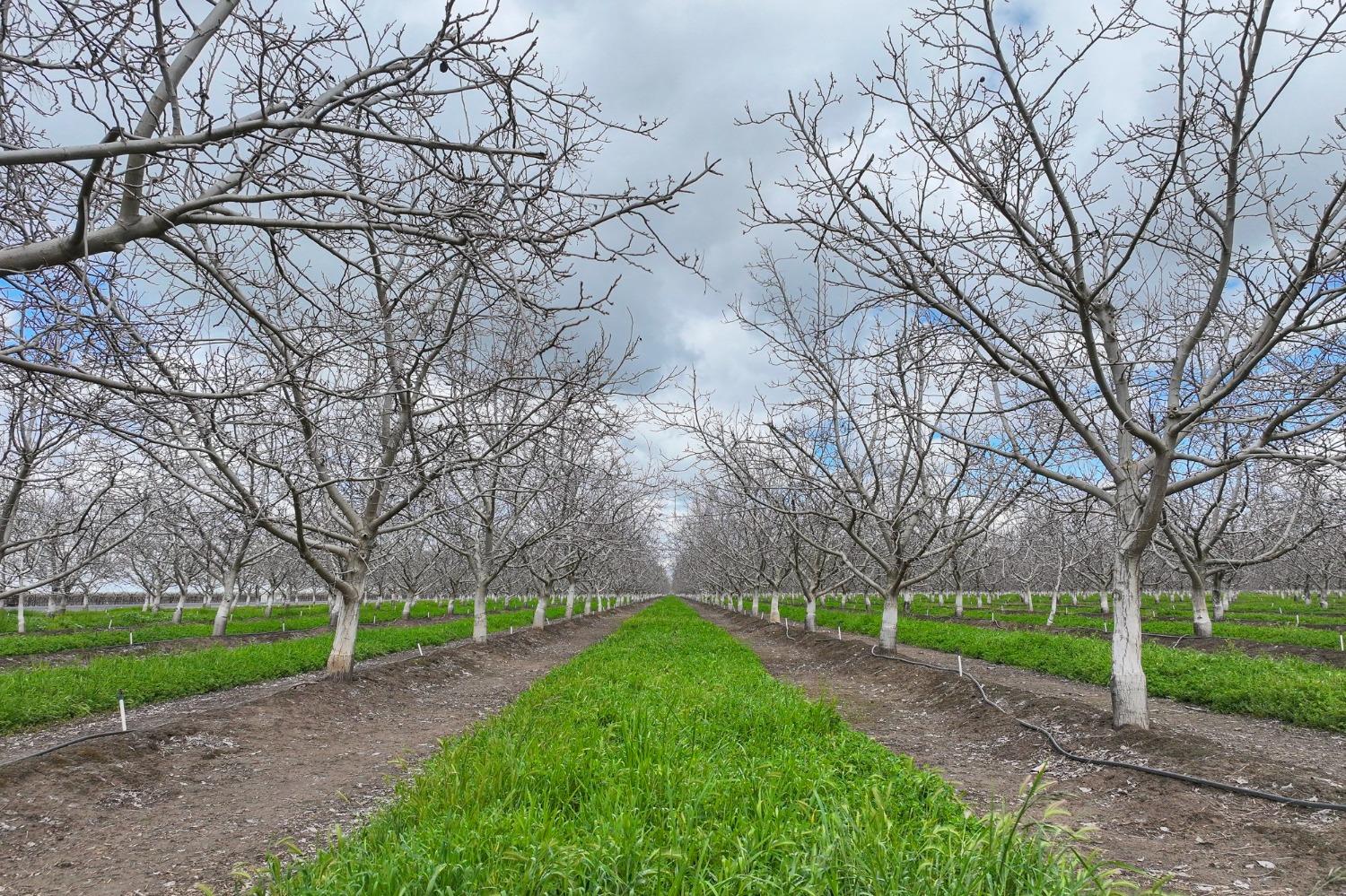 18995 Avenue 232, Lindsay, CA 93247