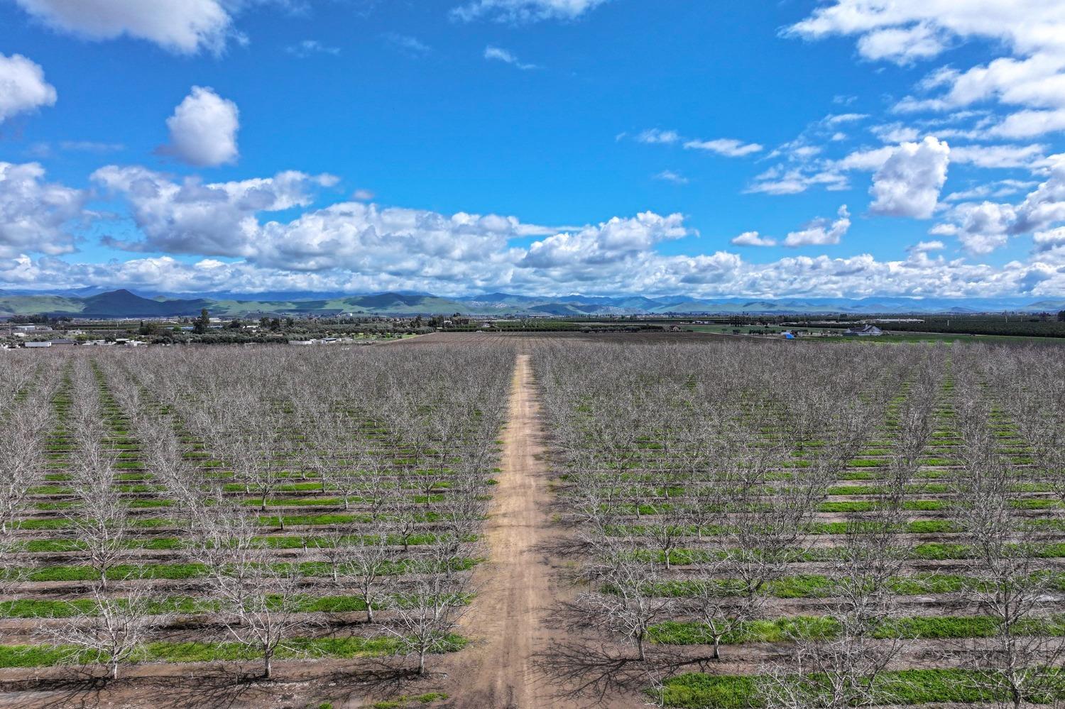 18995 Avenue 232, Lindsay, CA 93247