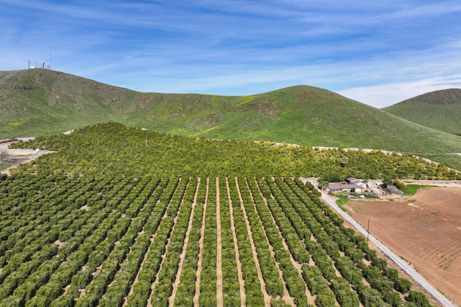 0 0 W Reid Ave, Porterville, CA 93257