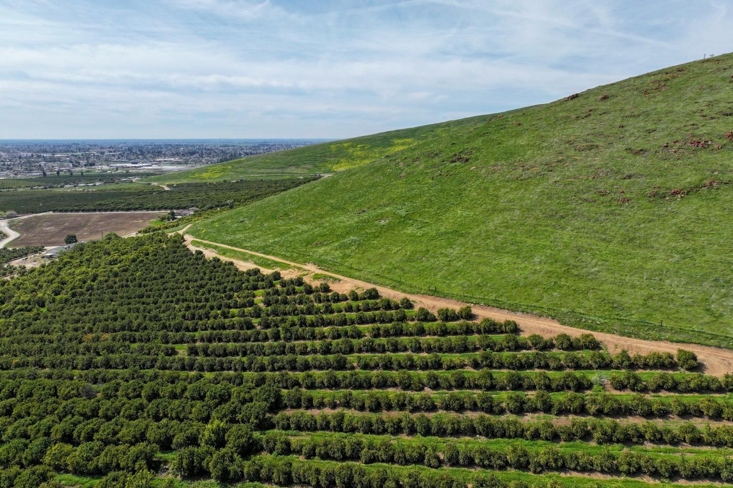 0 0 W Reid Ave, Porterville, CA 93257