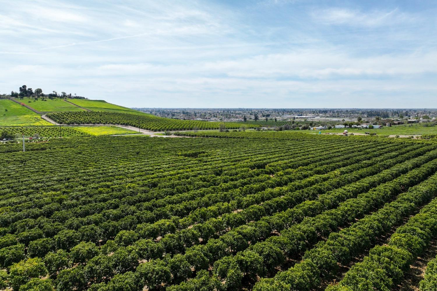 0 0 W Reid Ave, Porterville, CA 93257