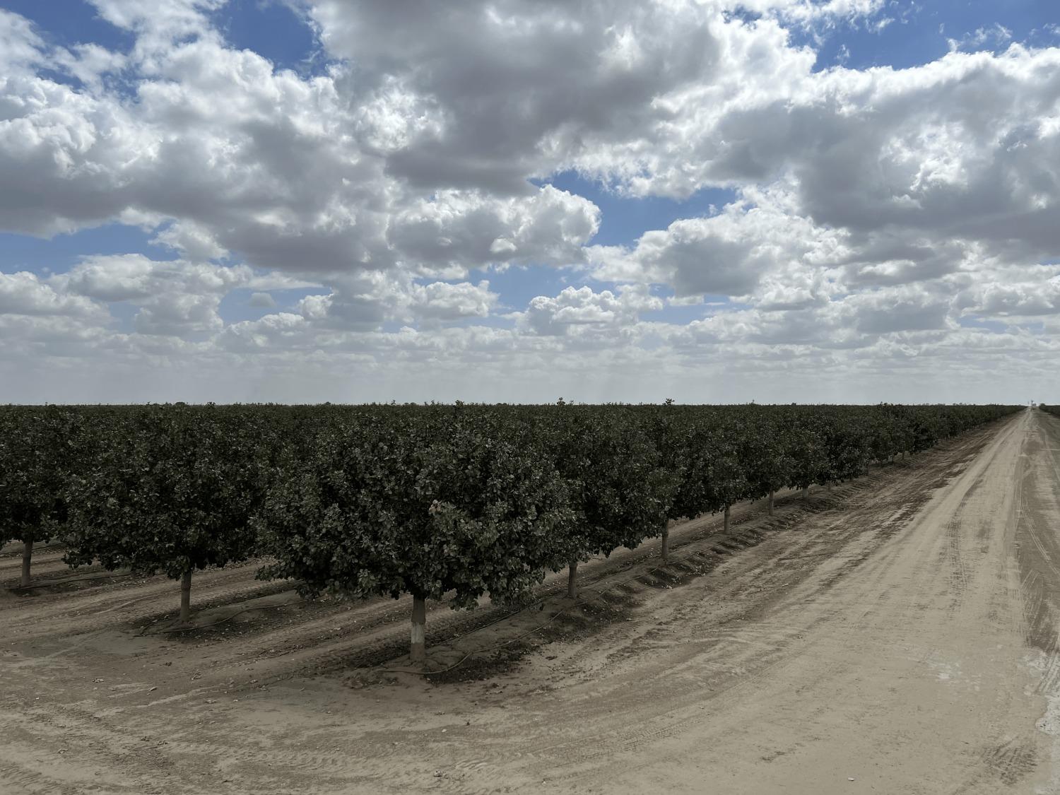 0 - Idaho Ave, Hanford, CA 93230