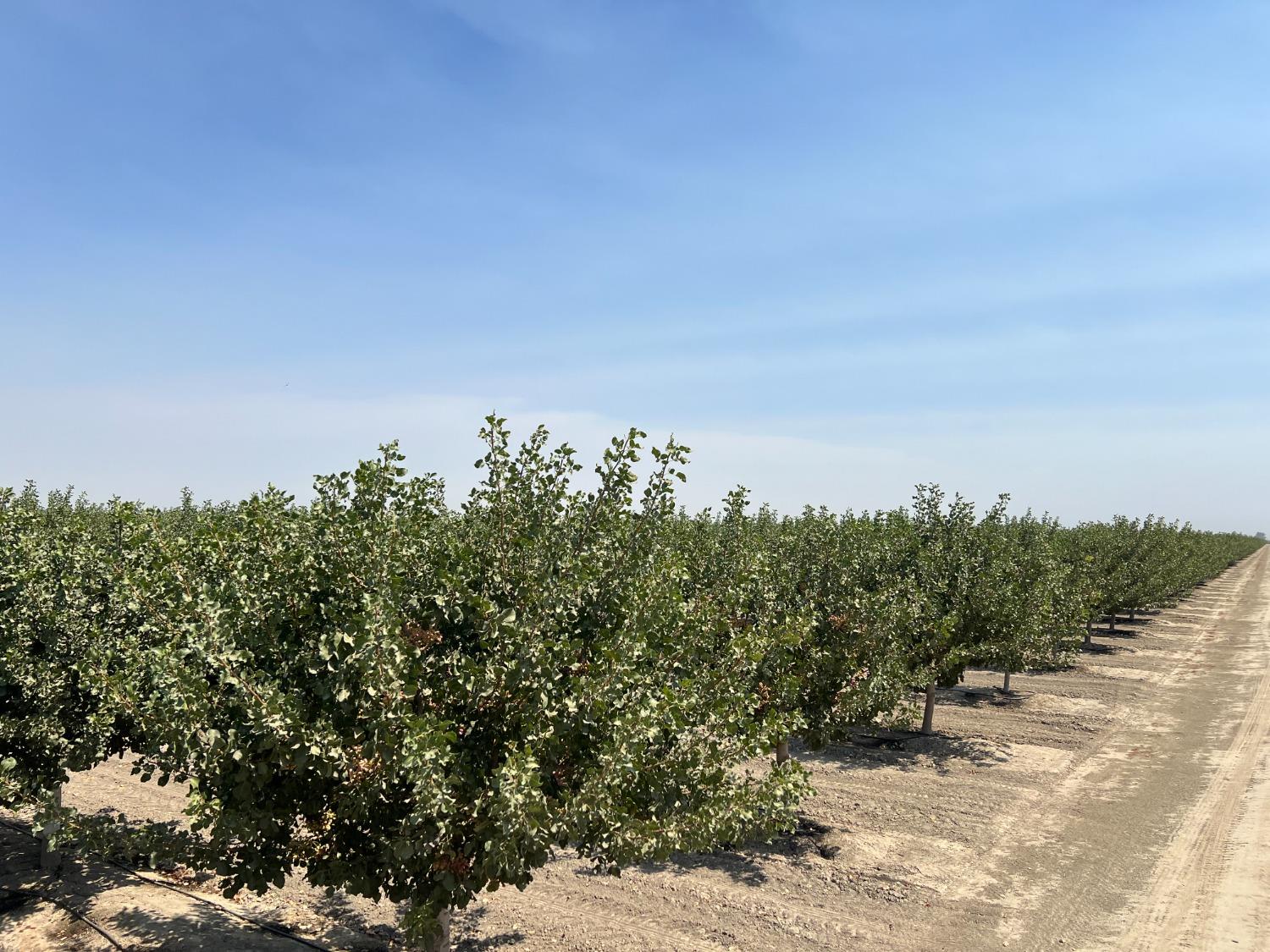 0 - Idaho Ave, Hanford, CA 93230