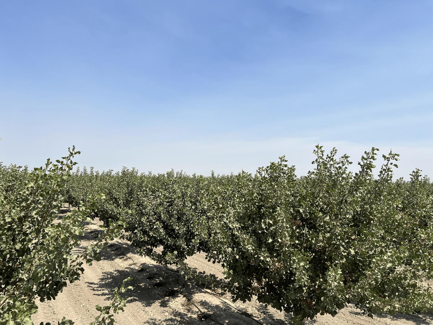 0 - Idaho Ave, Hanford, CA 93230